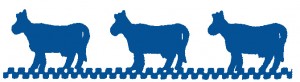 Jill & Company Logo-1